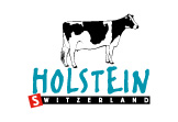 Holstein Switzerland